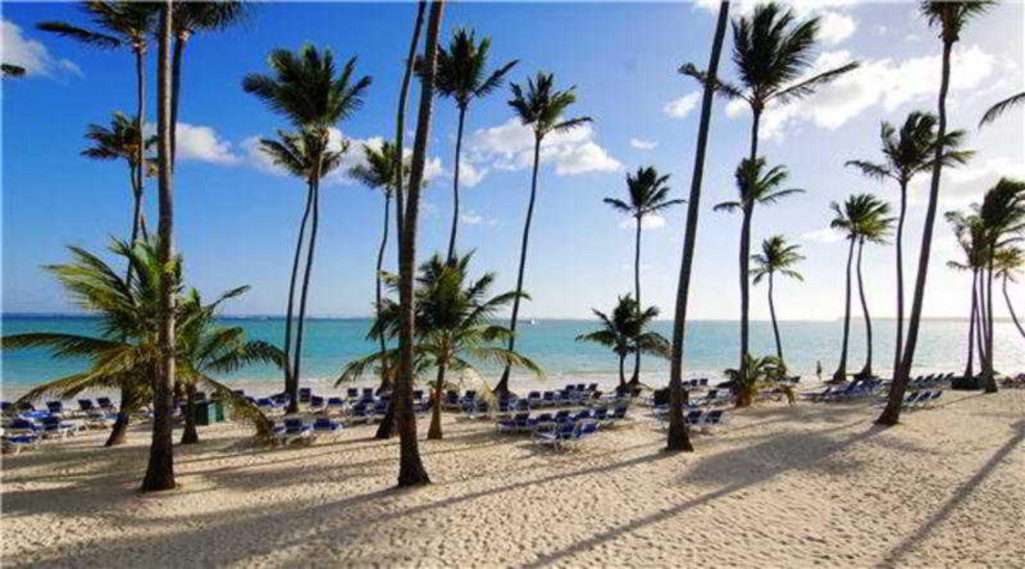 Barcelo Bavaro Beach (Adults Only) Πούντα Κάνα Εξωτερικό φωτογραφία Punta Cana